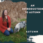 An Introduction to Autumn