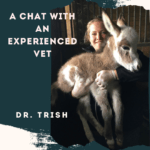 A Chat with an Experienced Vet