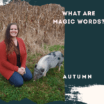 What are Magic Words?