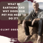 What is Earthing and Why Does Our Pet Pig Need to Do it? With Clint Ober