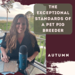 The Exceptional Standards of a Pet Pig Breeder