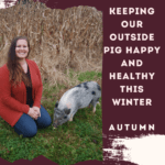 Keeping Our Outside Pig Happy And Healthy This Winter